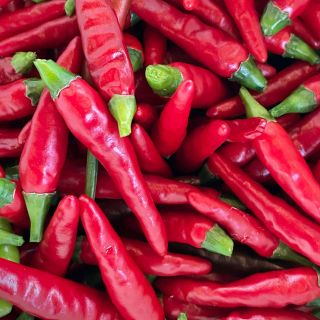 Capsaicina (Peperoncino)